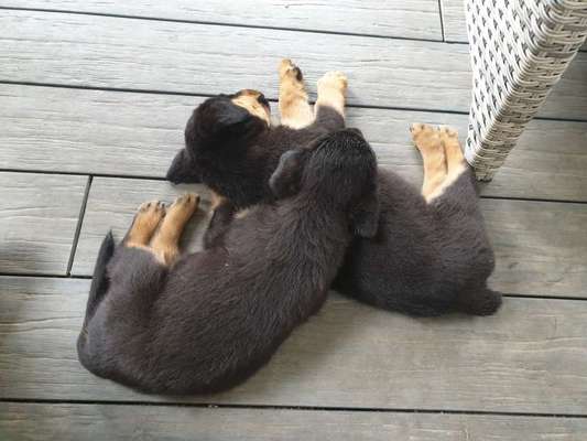 Die unbequemsten und lustigsten Schlafpositionen-Beitrag-Bild