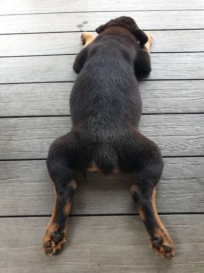 Die unbequemsten und lustigsten Schlafpositionen-Beitrag-Bild