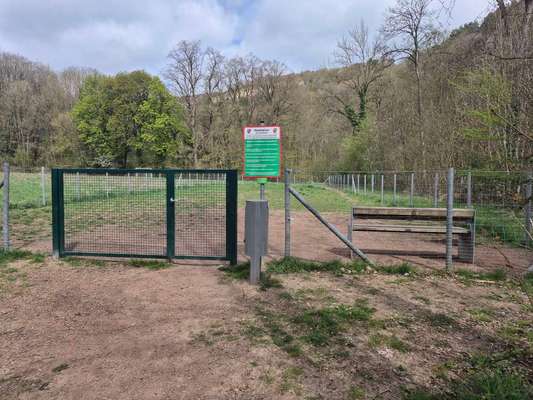 Hundeauslaufgebiet-Eingezäunte Hundewiese-Bild