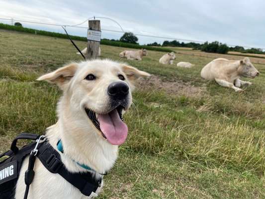 Doppelgänger gesucht !-Beitrag-Bild