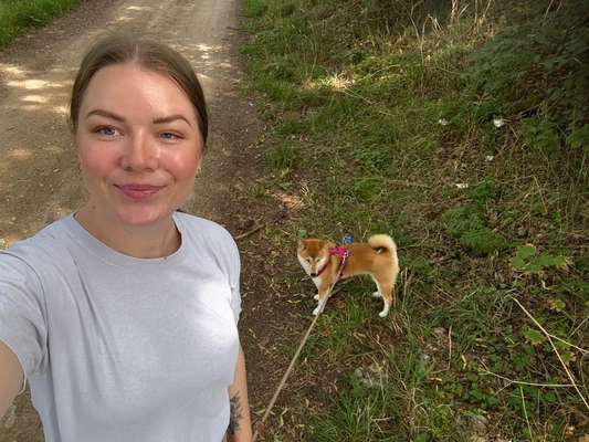 Hundetreffen-Hundefreunde gesucht!-Bild