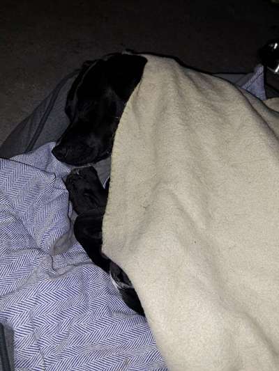 Schlafzeit!💖-Beitrag-Bild