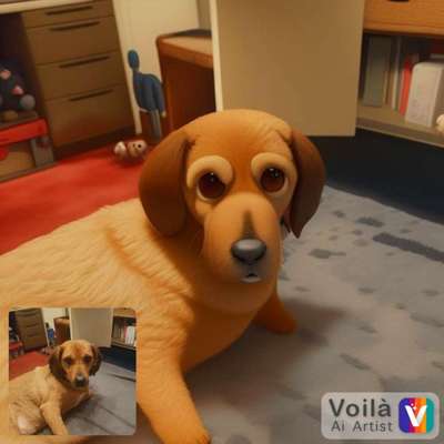 Voila app Bilder-Beitrag-Bild