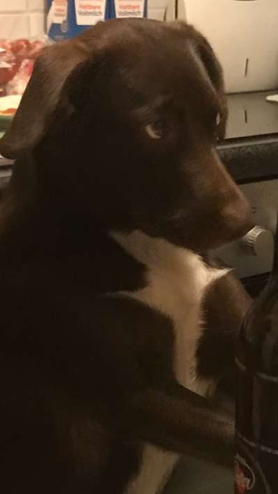 Fotochallange Nr. 57     PORTRÄT.   Beendet!!!!!!!!-Beitrag-Bild