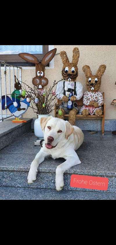 Lieblingsbild :D-Beitrag-Bild