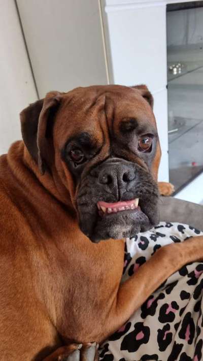 Lieblingsbild-Beitrag-Bild