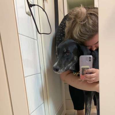 Hundetreffen-Hunde spielen lassen-Profilbild