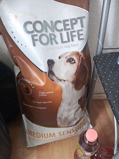 Suche hochwertiges Welpenfutter-Beitrag-Bild