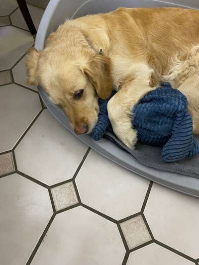 Fotowettbewerb Natur-Beitrag-Bild