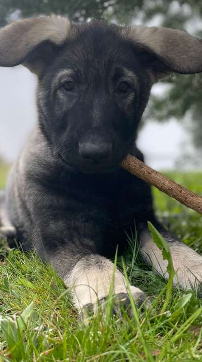 Lieblingsbild-Beitrag-Bild