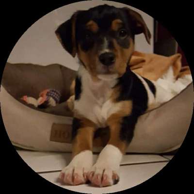 Foto Challenge 3-Beitrag-Bild