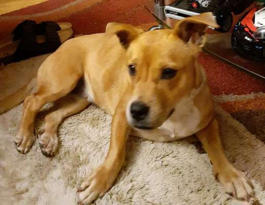 Lieblingsbild :D-Beitrag-Bild