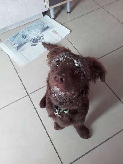 Fotochallenge 113: Auf frsicher Tat ertappt-Beitrag-Bild