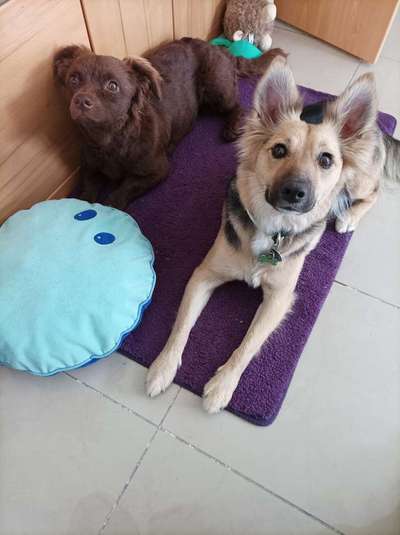 Zeigt eure Portraits-Beitrag-Bild