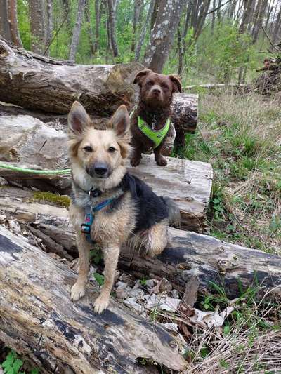 32. Collagen Challenge - eure liebsten gestellten Fotos-Beitrag-Bild