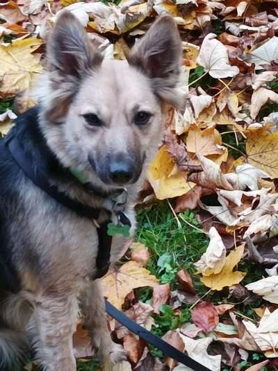 Fotochallange Nr. 57     PORTRÄT.   Beendet!!!!!!!!-Beitrag-Bild