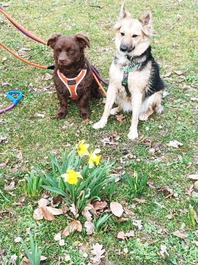 Zeigt eure Portraits-Beitrag-Bild