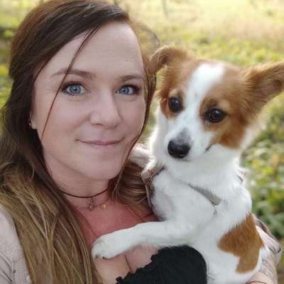 Hundetreffen-Gassirunde in der Natur z.B. um einen See-Profilbild