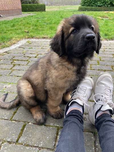 Sie werden so schnell erwachsen ...-Beitrag-Bild