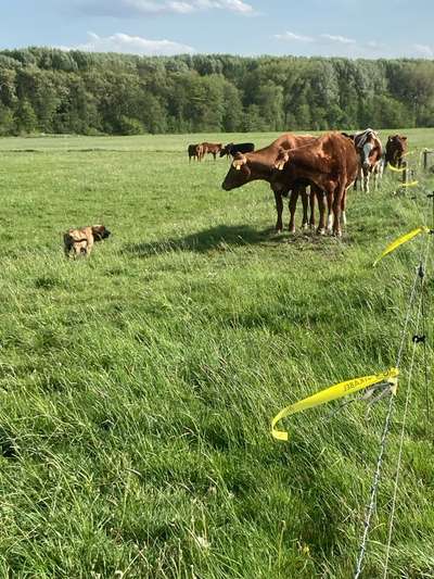 155. FotoChallange * David und Goliath *-Beitrag-Bild