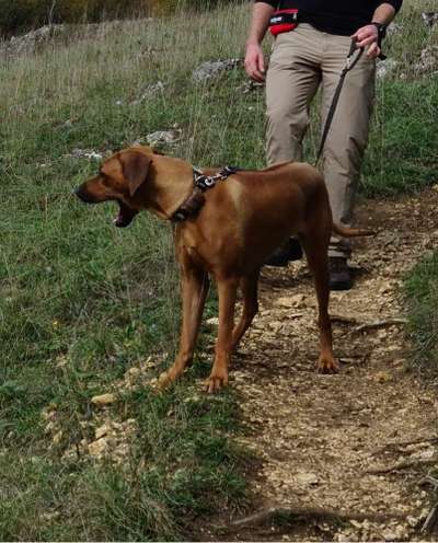 20. Handy -Foto-Callenge-Beitrag-Bild