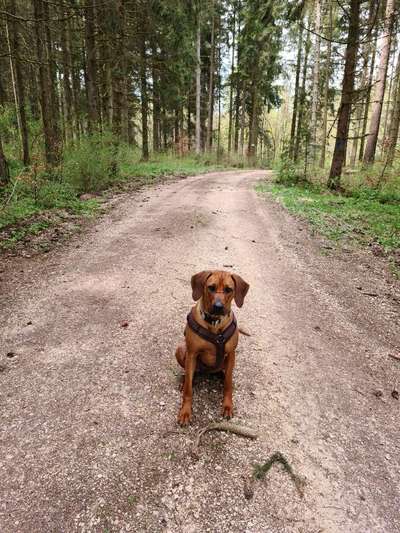 Foto Challenge Nr. 79-Beitrag-Bild