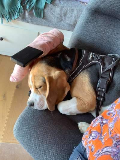 4. Lustiger Schlafplatz-Beitrag-Bild