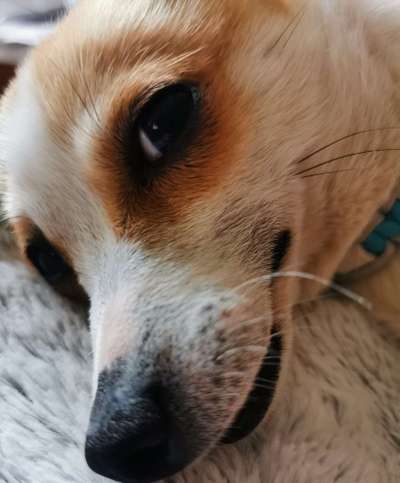 Lieblingsbild :D-Beitrag-Bild