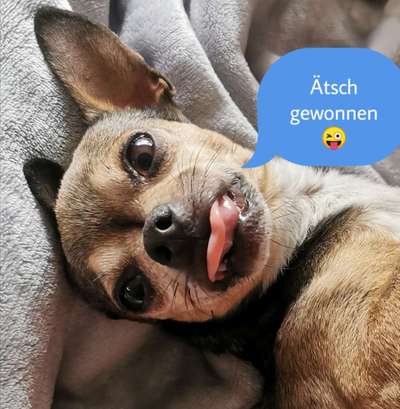 Lieblingsbild :D-Beitrag-Bild