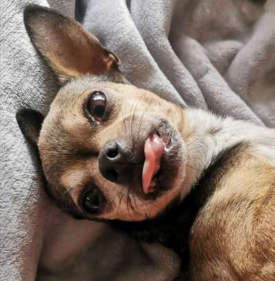 Fotochallange Nr. 6 Die irrsten Blicke-Beitrag-Bild