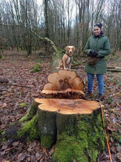 Hundmenschfotos-Beitrag-Bild