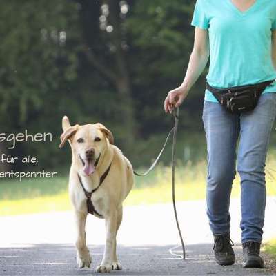 %{de_profession_title} Social Walk - Lernspaziergang %{location} – Dogorama