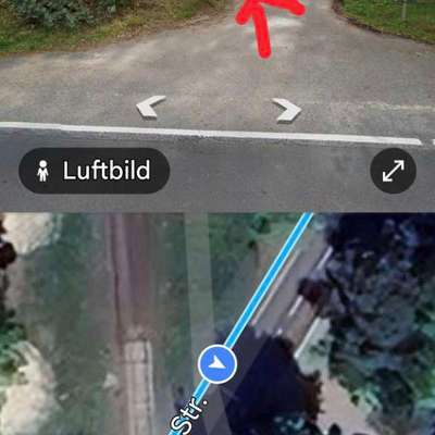 Giftköder-V.a. Rattengift-Bild