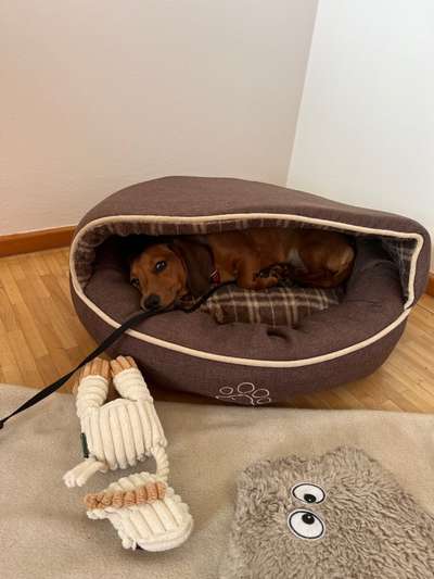 Zeigt her...-Beitrag-Bild