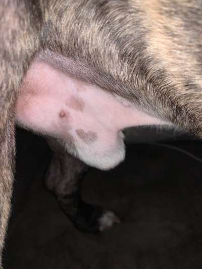 Blick fürs Detail!-Beitrag-Bild