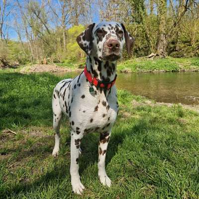 Christina's Profilbild