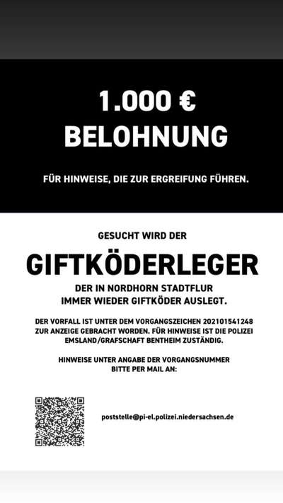Giftköder-Leckerli mit weißem Pulver-Bild