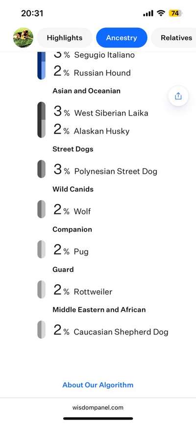 Hat schonmal jemand die Rasse beim Mischling bestimmen lassen?-Beitrag-Bild
