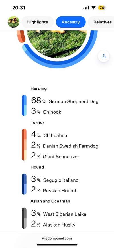 Hat schonmal jemand die Rasse beim Mischling bestimmen lassen?-Beitrag-Bild