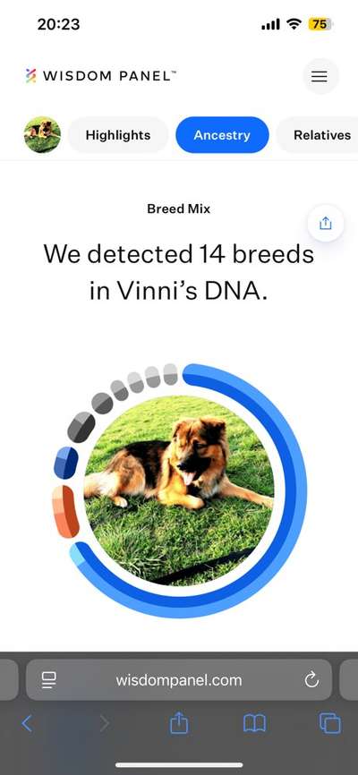 Hat schonmal jemand die Rasse beim Mischling bestimmen lassen?-Beitrag-Bild