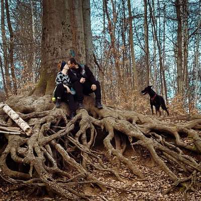 Hundetreffen-Gassi und Spieltreffen