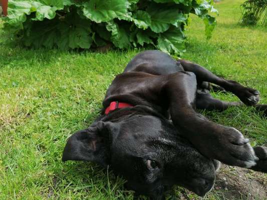 Lustige Grimassen & verrückte Posen-Beitrag-Bild
