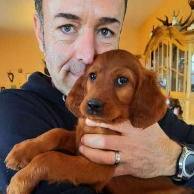 Hundetreffen-Spiel- und Gassirunde in Bechtsbüttel