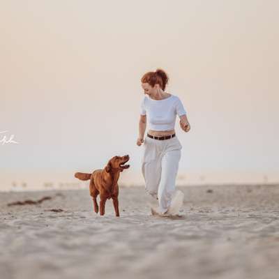 Tierfotografen-Deine Hundefotografin - Friederike Tesch Fotografie-Bild