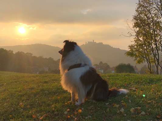 Fotochallenge Nr. 62 Romantische Momente-Beitrag-Bild