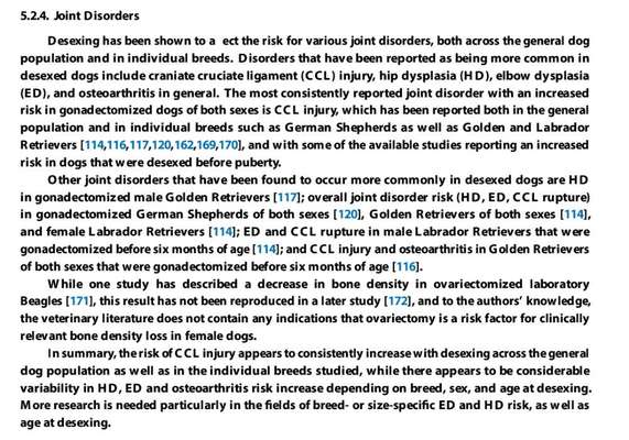 Hündin Kastration Jung-Beitrag-Bild