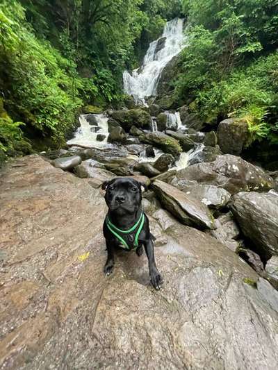 Dogorama Photo Challenge - Wasserfall-Beitrag-Bild