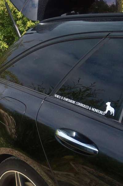 Hund im Backofen!!! Todesfalle Auto...-Beitrag-Bild