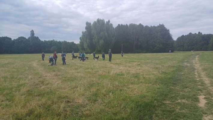 Hundeauslaufgebiet-Bockenheim, Niddapark-Bild