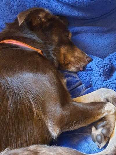 Lustige Grimassen & verrückte Posen-Beitrag-Bild